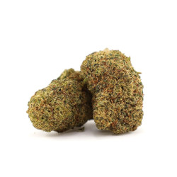 Godzilla Punch 25% THCA de la Sixty8 Romania