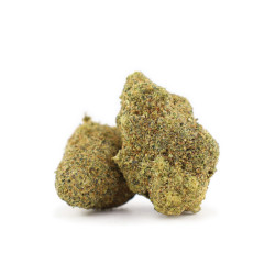Florile Alien OG 30% Magic Sauce de la Sixty8 Romania