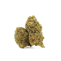 Early Girl 10-OH 30% de la Sixty8 Romania
