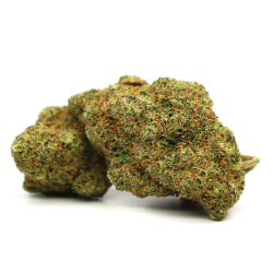Tequila Sunrise CBD - COOKIES de la Sixty8 Romania