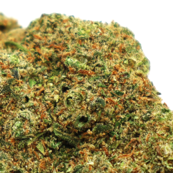 Tequila Sunrise CBD - COOKIES de la Sixty8 Romania