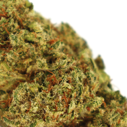 Long Island CBD - COOKIES de la Sixty8 Romania