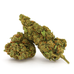 Hawaiian Rain CBD - COOKIES de la Sixty8 Romania