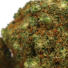 Triple Scoop CBD - COOKIES de la Sixty8 Romania
