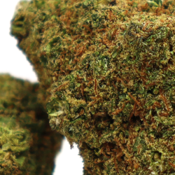 Hollywood CBD - COOKIES de la Sixty8 Romania