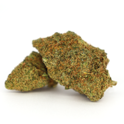 Céréal Milk CBD - COOKIES de la Sixty8 Romania