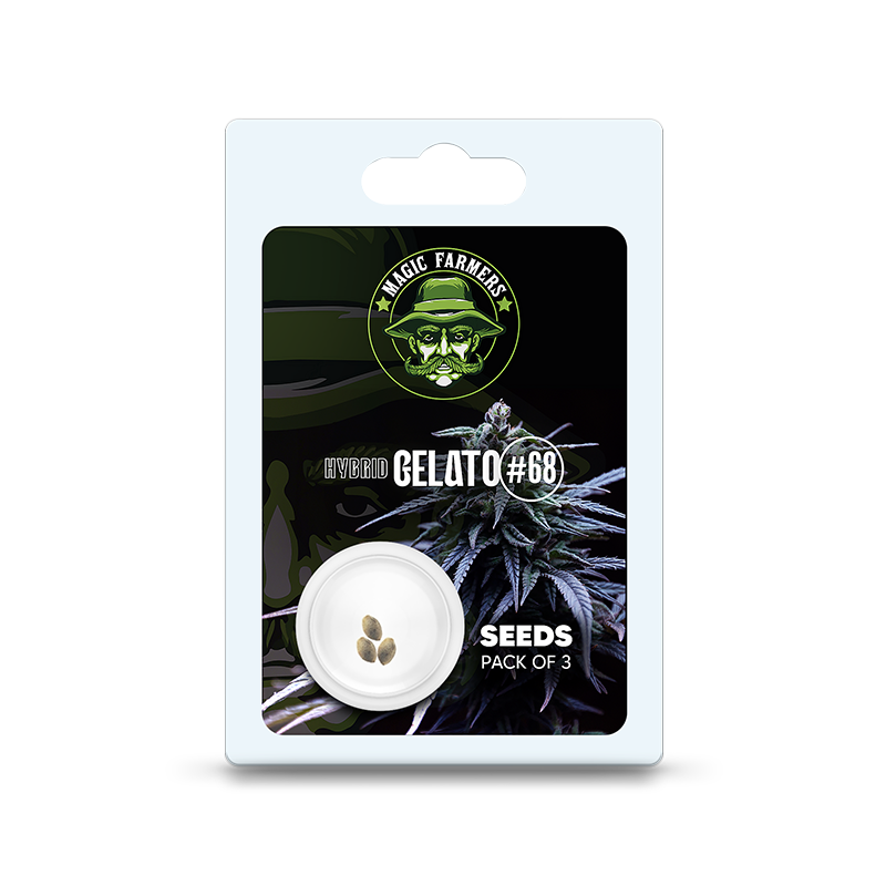 Seminte THC Gelato de la Sixty8 Romania