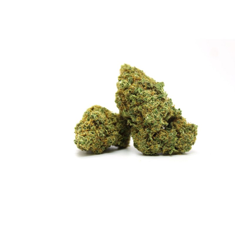 Florile Chocolope CBG de la Sixty8 Romania Florile Chocolope CBG de la Sixty8 Romania