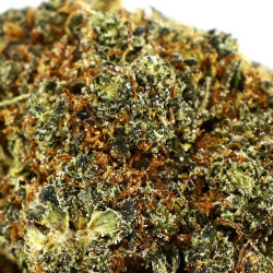 Berry Pie Floare COOKIES de la Sixty8 Romania