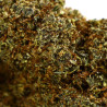 Cheetah Piss Floare COOKIES de la Sixty8 Romania