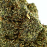 Laughing Gas Floare COOKIES de la Sixty8 Romania