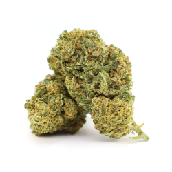 Fish Scale Floare COOKIES de la Sixty8 Romania
